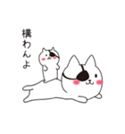 ねこぱっち5（個別スタンプ：3）