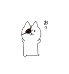ねこぱっち5（個別スタンプ：12）