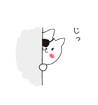 ねこぱっち5（個別スタンプ：14）