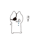 ねこぱっち5（個別スタンプ：15）