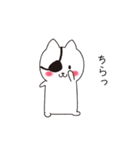 ねこぱっち5（個別スタンプ：16）