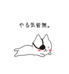 ねこぱっち5（個別スタンプ：20）