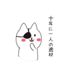ねこぱっち5（個別スタンプ：34）