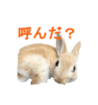 うさぎのミント 2nd（個別スタンプ：2）