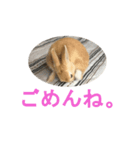 うさぎのミント 2nd（個別スタンプ：4）