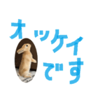 うさぎのミント 2nd（個別スタンプ：6）