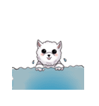 DongDong2（個別スタンプ：20）