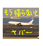 飛行機のつぶやき001（個別スタンプ：15）