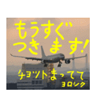 飛行機のつぶやき001（個別スタンプ：29）