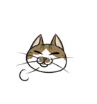 わが家のにゃんこさま（個別スタンプ：2）
