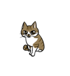 わが家のにゃんこさま（個別スタンプ：5）