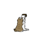 わが家のにゃんこさま（個別スタンプ：8）