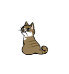 わが家のにゃんこさま（個別スタンプ：10）
