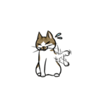 わが家のにゃんこさま（個別スタンプ：11）