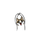 わが家のにゃんこさま（個別スタンプ：21）