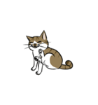 わが家のにゃんこさま（個別スタンプ：28）
