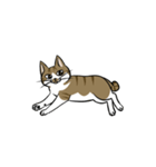 わが家のにゃんこさま（個別スタンプ：34）