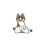 わが家のにゃんこさま（個別スタンプ：35）