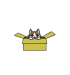 わが家のにゃんこさま（個別スタンプ：36）