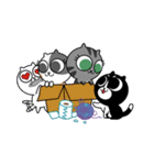 Dimsun Gang [Thai version]（個別スタンプ：40）