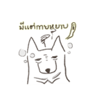 White-collar dog（個別スタンプ：1）