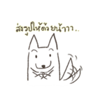 White-collar dog（個別スタンプ：13）