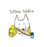 White-collar dog（個別スタンプ：21）