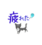 今日もアタイは独り言 Season 3（個別スタンプ：22）