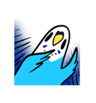 セキセイインコのさいさん（個別スタンプ：8）
