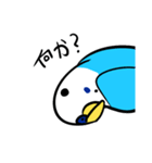 セキセイインコのさいさん（個別スタンプ：13）