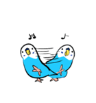 セキセイインコのさいさん（個別スタンプ：16）