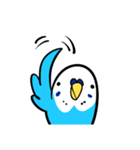 セキセイインコのさいさん（個別スタンプ：20）