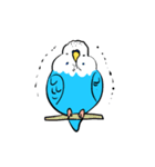 セキセイインコのさいさん（個別スタンプ：21）