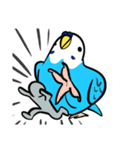 セキセイインコのさいさん（個別スタンプ：23）