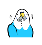セキセイインコのさいさん（個別スタンプ：24）