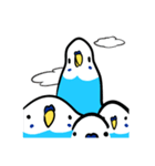 セキセイインコのさいさん（個別スタンプ：26）
