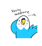 セキセイインコのさいさん（個別スタンプ：29）