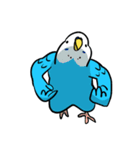 セキセイインコのさいさん（個別スタンプ：34）