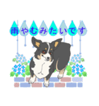 梅雨/雨風の季節に使えるコーギーcorgi4（個別スタンプ：25）