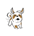 Mali Shih Tzu Dog.（個別スタンプ：1）