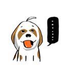 Mali Shih Tzu Dog.（個別スタンプ：6）
