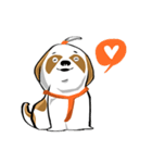 Mali Shih Tzu Dog.（個別スタンプ：7）