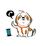 Mali Shih Tzu Dog.（個別スタンプ：11）