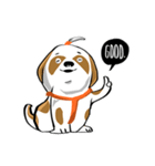 Mali Shih Tzu Dog.（個別スタンプ：12）