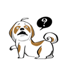 Mali Shih Tzu Dog.（個別スタンプ：15）