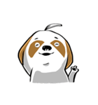 Mali Shih Tzu Dog.（個別スタンプ：16）