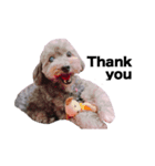 TwoPuppy.（個別スタンプ：7）