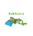 モカガエルと仲間たち（個別スタンプ：4）