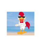 G-chicken on the beach（個別スタンプ：12）