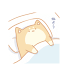 いぬさわ（個別スタンプ：19）